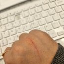 지지고 | 제주곤이칼국수 종로점, 대구 학정동 두쫀쿠 카페 린네베이크, 칠곡3지구 혼밥 지지고 후기 .. 1월 일상 2