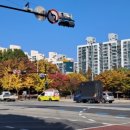 별빛공원 앞 횡단보도 이미지