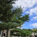 펜션무이 이미지