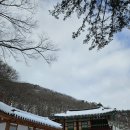 구암사 | 전남 장성 백암산 최단코스 | 구암사 출발 원점회귀 ⛰️🌿🔥