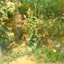 별 헤는 마을 이미지