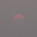 신향주유소 이미지