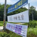 호대마트 이미지