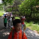 푸른유치원 이미지