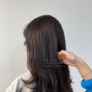 사전6-1 안길 이미지