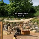 집시