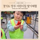 양주어린이집 | 경기도 양주 딸기체험 어린이집 먹방 다녀온 후기