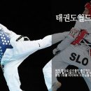 한국체대월드태권도 이미지