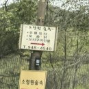 숲속에한옥 | [경기/파주] 드라이브가기 좋은 숲속 백숙맛집 ‘소령원숲속’ 룸예약 후기 (+ 공간 채향 한옥카페)