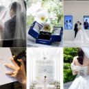 1108 | 스냅 업체 고르기(보테가마지오 - 퍼스트모션, 감성필름, 스냅1108호 비교) 계약 후기, 스냅 선택 꿀팁