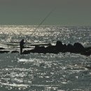 바다야 별아 이미지