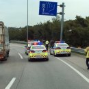 가학농장 이미지