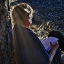 Deep-Rooted Reading 뿌리 깊은 독서 이미지