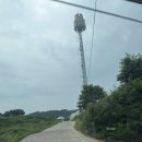 UR(화성시)-[은행나무로802번길]-상-1 | [화성 향남] 테디스로드 베이커리카페ㅣ주차 넓고 좋은 대형 카페 내돈내산 솔직후기ㅣ부모님, 카페, 연인