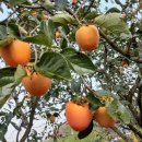 산여울농장 이미지