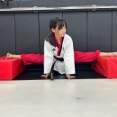 푸른태권도체육관 이미지