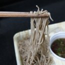 GS25 서동미로시장점 | [GS편의점 먹거리 추천] 열무김치말이국수 , 자루소바 후기