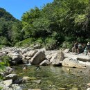지장산 입구 화장실 | 경기도 포천 계곡 추천 : 지장산 계곡 주차 수심 스노쿨링 취사 반려견 뷰 완벽후기