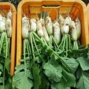 구름이쉬어가는농원 이미지