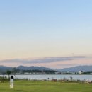 두부네 애견카페 이미지