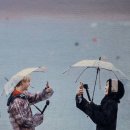 예예 이미지