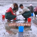 연평어촌체험휴양마을 | 인천섬여행 연평도 갯벌체험 평화안보관광 연평도 배 시간