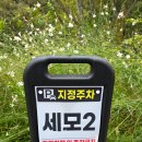 임실치즈피자미스터파파 | (전북 임실) 성수산 왕의숲 자연휴양림 세모집2 + 임실 치즈 피자 맛집[치즈온]