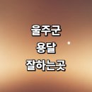 현대자동차그린서비스천상점 | 화물용달 전문업체 라보용달 견적 가격 렌트 운송 대여 소형 1톤용달 다마스 침대 대형 후기 퀵서비스 금액
