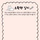 나영쌤