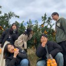 동문장애인복지관 | 🌴'쉼과 배움'이 공존하는 마루(MA:RU) 쉼터 제주 연수 고도마루팀 3일차 기록(배움과 체험의 날, 그리고...