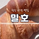 밀호