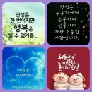 삼월의 세번째 화요일입니다. 이미지