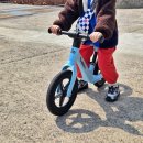 바이크인 | 밸런스바이크 5세 자전거 추천, 티니롤리 주니어 직접 태워본 솔직후기