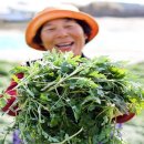 해풍민박 이미지