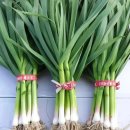 은희농장 이미지