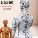 혈도