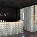 포레스트 펫 이미지