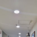 겨자씨 사랑의 집 Daum카페