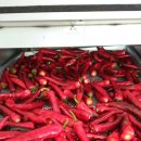 재민농장 이미지