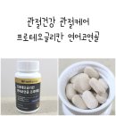 웰리뉴