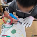 신탄진용정초등학교 이미지