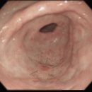 성모우리내과의원 이미지