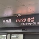 경포점어린왕자 | 8월 휴가 정리