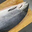 스펀지영천 네이버블로그