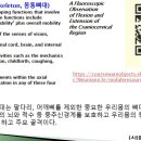 [12강-몸통뼈대-1](111강) 뉴만 9장 몸통뼈대 첫강의, 이미지