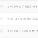 대성시골집