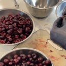 과일손질의달인 이미지