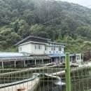 천동송어양식장횟집 | 충북 단양 고수동굴 근처 송어회 맛집 천동송어양식장횟집