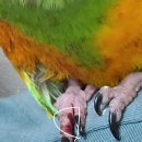 미소동물 의료센터 이미지