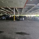 머슬핏피트니스 이미지